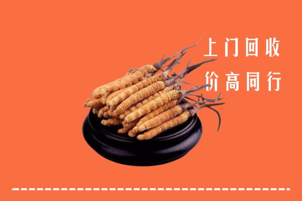 德阳市回收散虫草