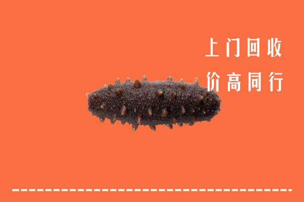 高价求购：德阳市回收海参