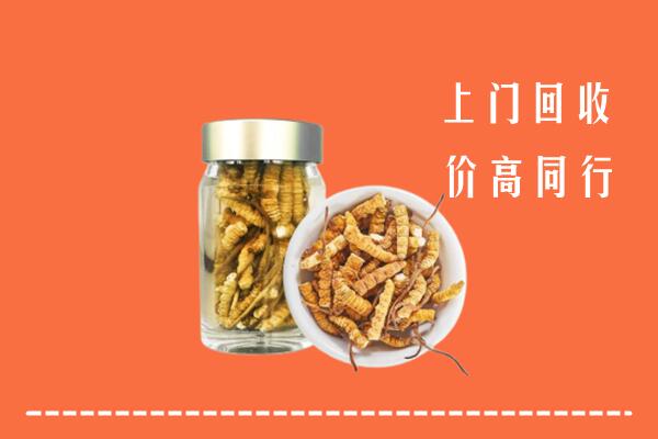 德阳市回收冬虫夏草